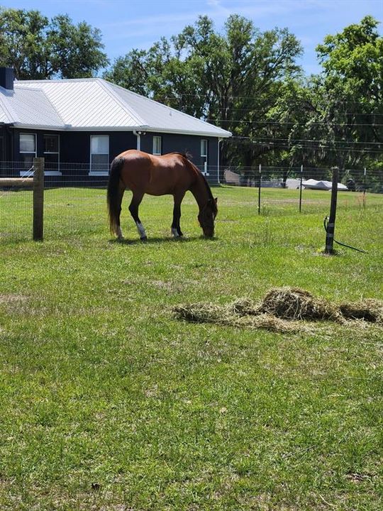Active With Contract: $589,000 (3 beds, 2 baths, 1792 Square Feet)