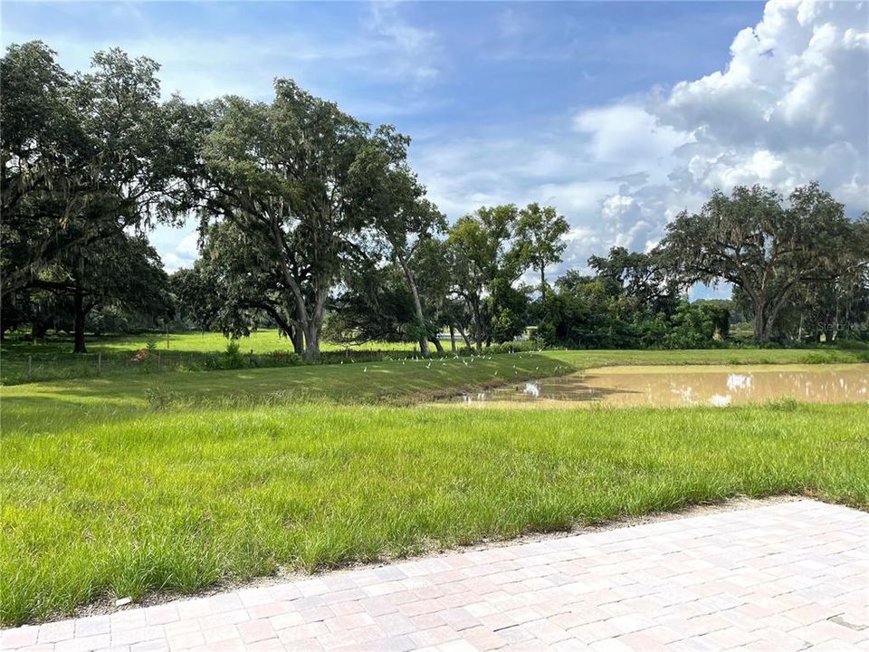 出租: $2,200 (4 贝兹, 2 浴室, 1867 平方英尺)