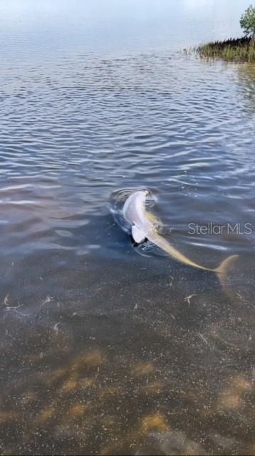 For Sale: $749,000 (4 beds, 3 baths, 1776 Square Feet)