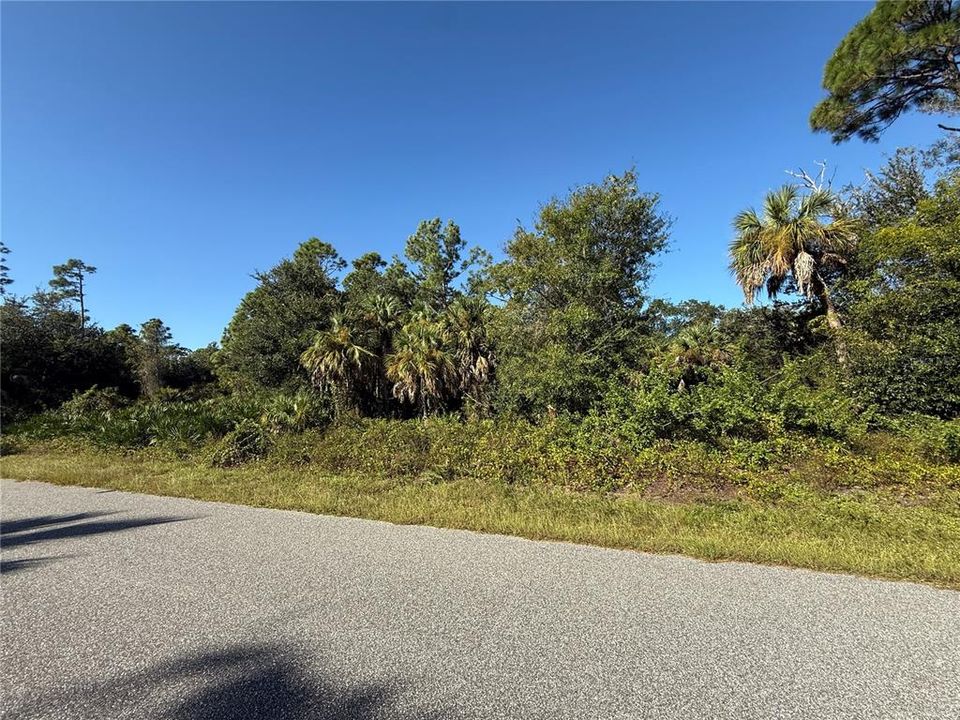 For Sale: $19,000 (0.23 acres)