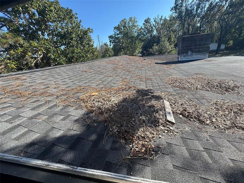 For Sale: $155,000 (4 beds, 2 baths, 3507 Square Feet)