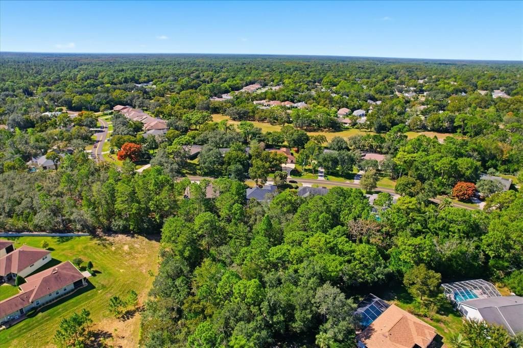 待售: $375,000 (3 贝兹, 2 浴室, 1786 平方英尺)