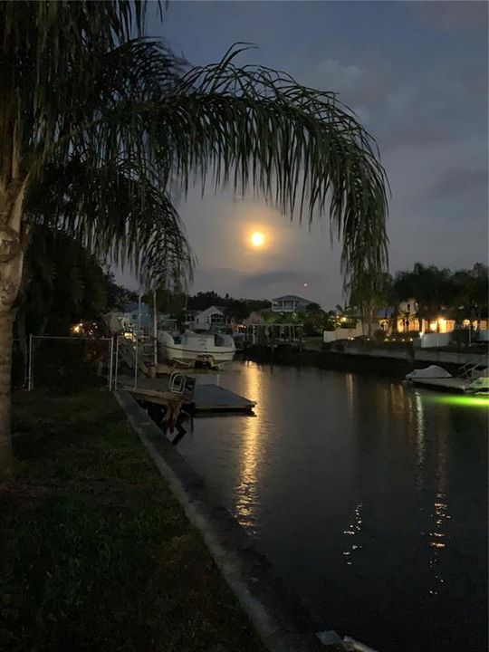 For Sale: $249,900 (0.21 acres)