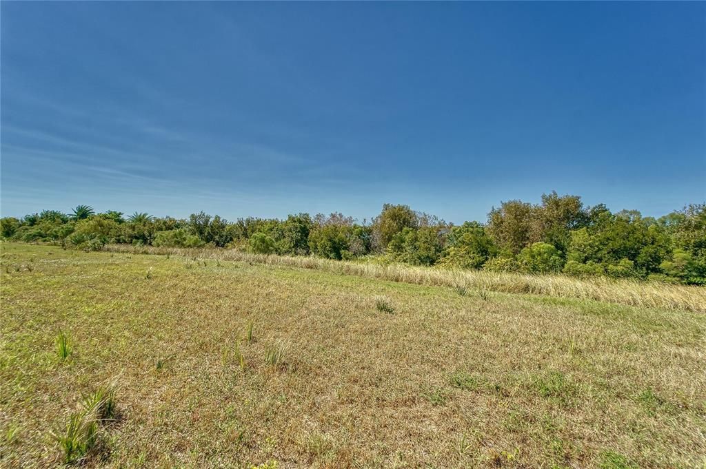 For Sale: $435,000 (1.89 acres)