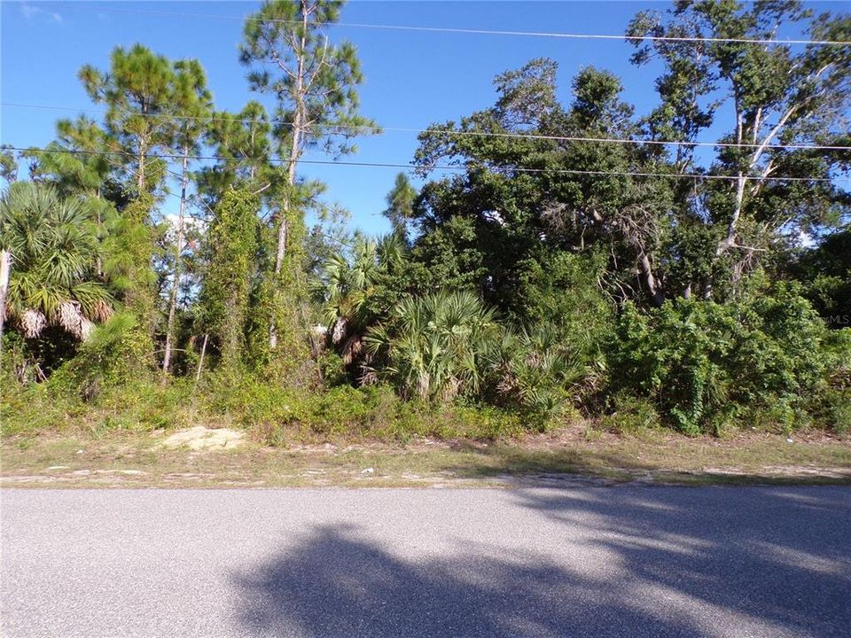 For Sale: $19,900 (0.23 acres)