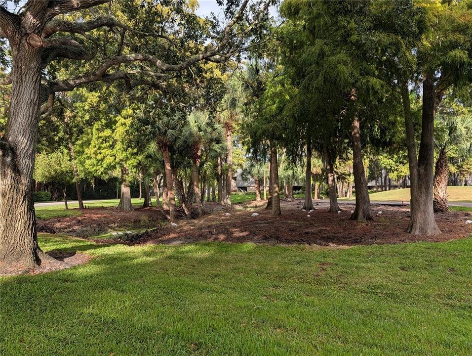 For Sale: $367,500 (2 beds, 2 baths, 1210 Square Feet)