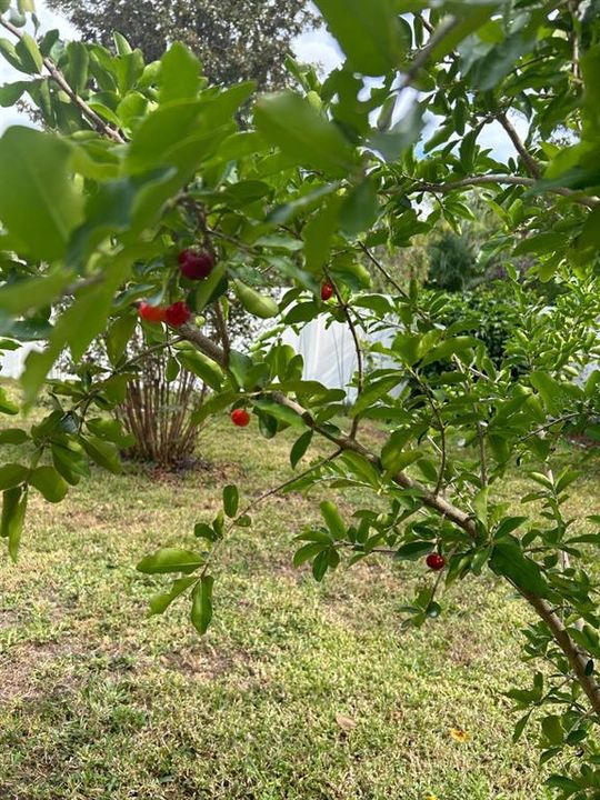 For Sale: $469,900 (3 beds, 2 baths, 2198 Square Feet)