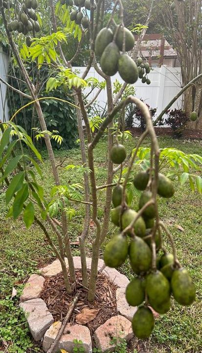 For Sale: $469,900 (3 beds, 2 baths, 2198 Square Feet)