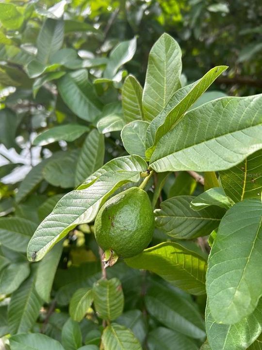 For Sale: $469,900 (3 beds, 2 baths, 2198 Square Feet)