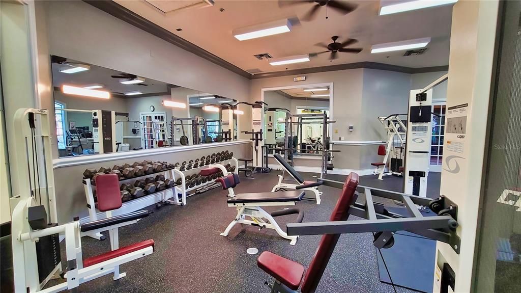 出租: $1,550 (1 贝兹, 1 浴室, 829 平方英尺)