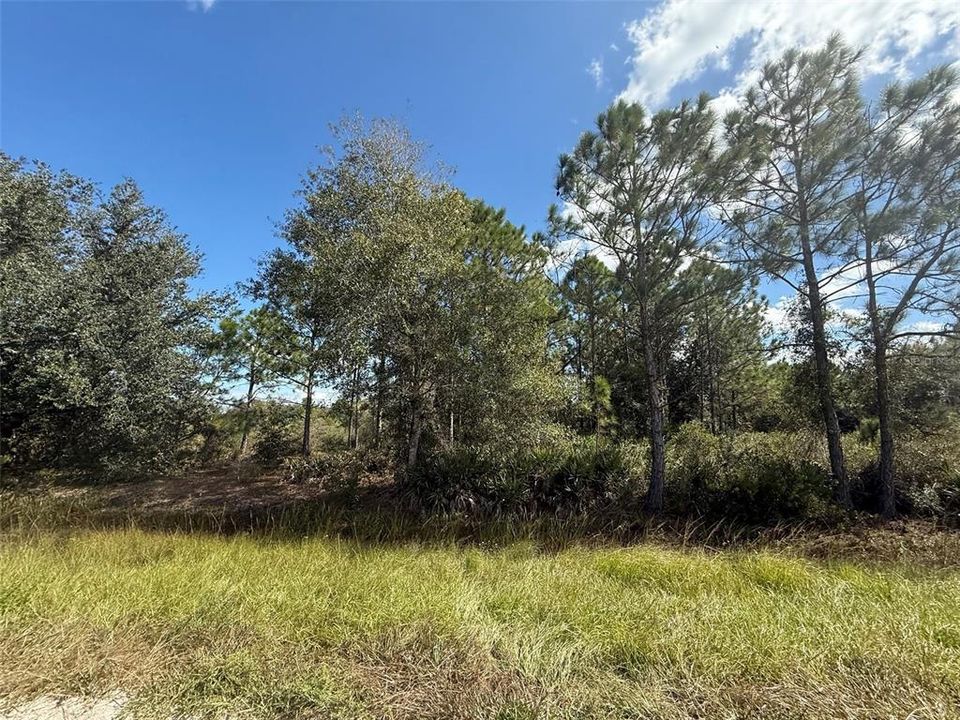 合同活跃: $56,500 (3.00 acres)