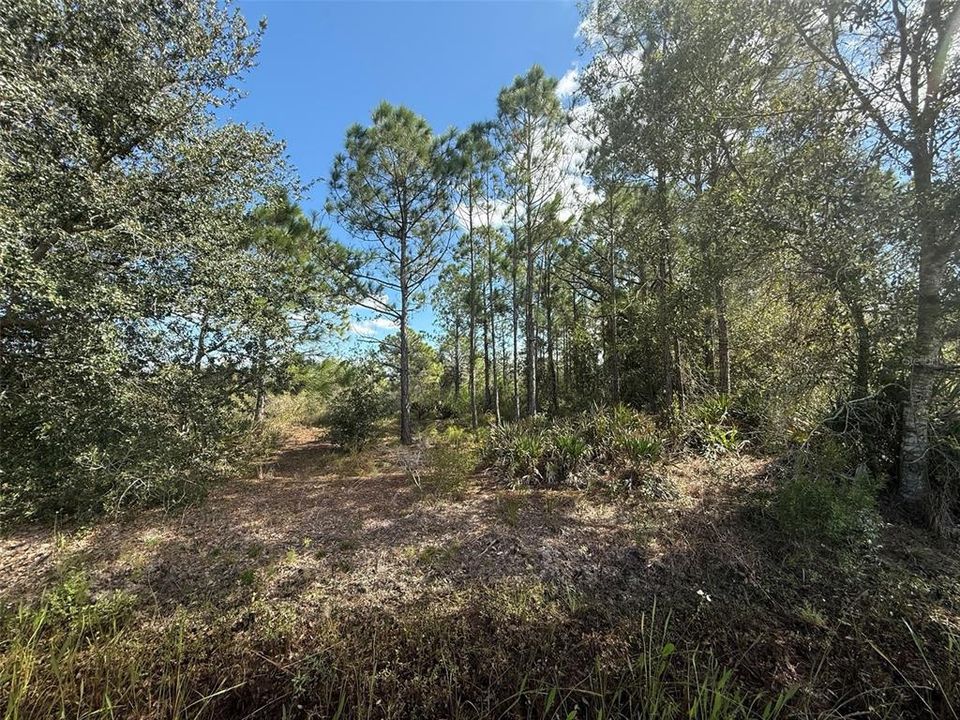 合同活跃: $56,500 (3.00 acres)