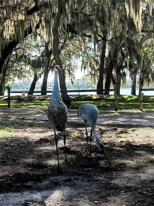 For Sale: $69,800 (1 beds, 1 baths, 425 Square Feet)