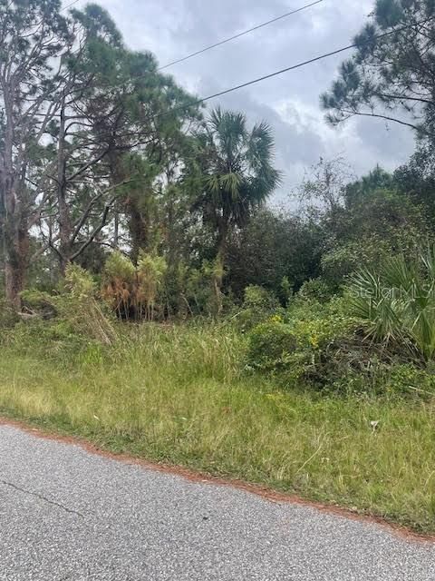 待售: $26,900 (0.23 acres)