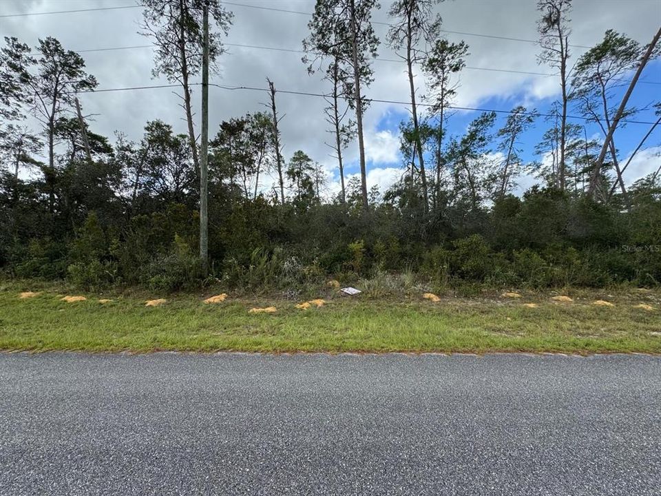 For Sale: $29,500 (0.50 acres)