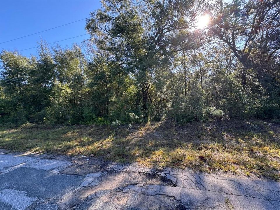 For Sale: $22,900 (0.23 acres)