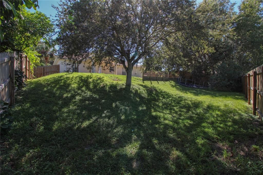 出租: $2,395 (3 贝兹, 2 浴室, 1538 平方英尺)