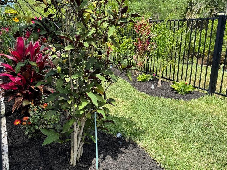 En Venta: $679,900 (3 camas, 3 baños, 1839 Pies cuadrados)