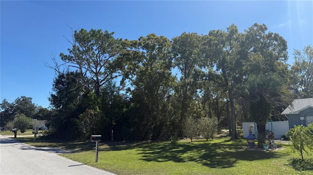 待售: $69,500 (0.23 acres)