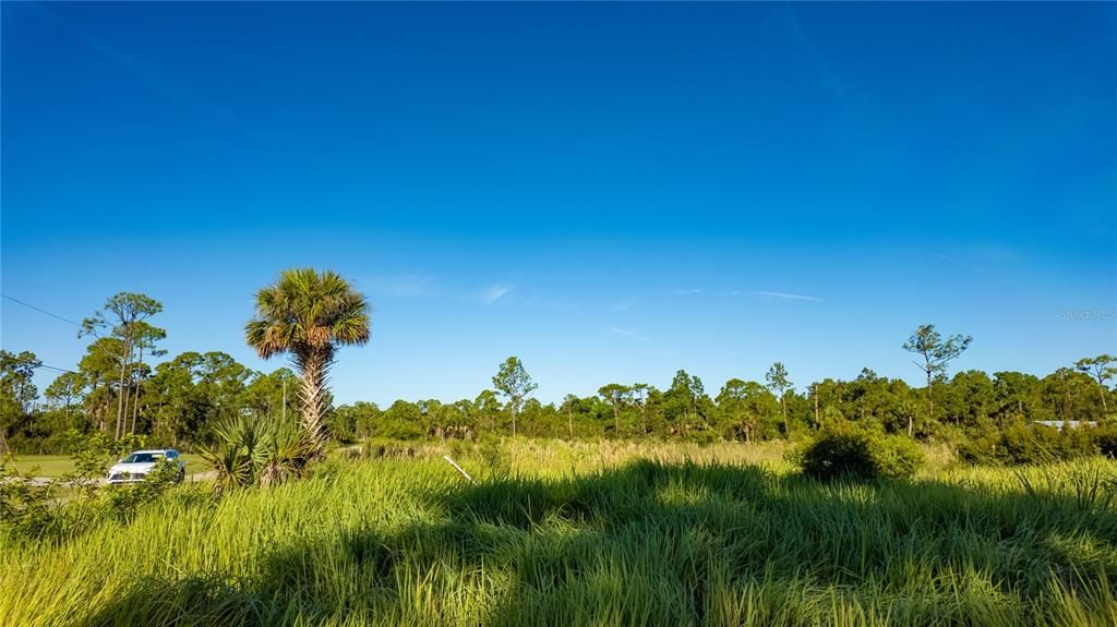 На продажу: $145,900 (2.50 acres)