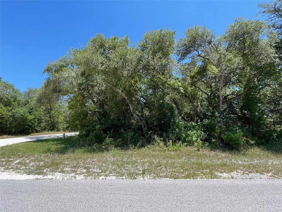 For Sale: $49,900 (1.13 acres)