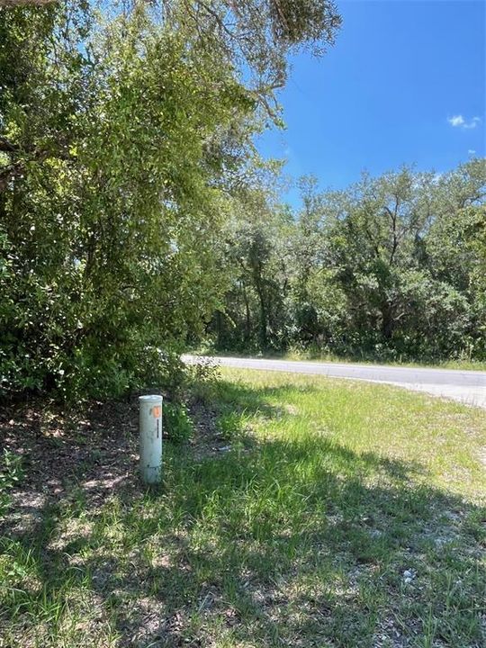 For Sale: $49,900 (1.13 acres)