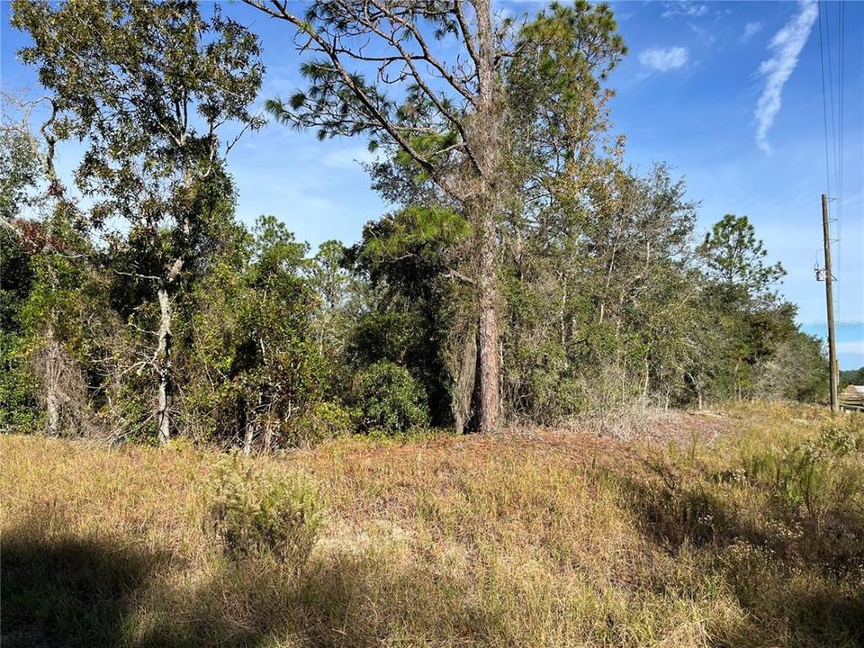 En Venta: $27,000 (0.99 acres)