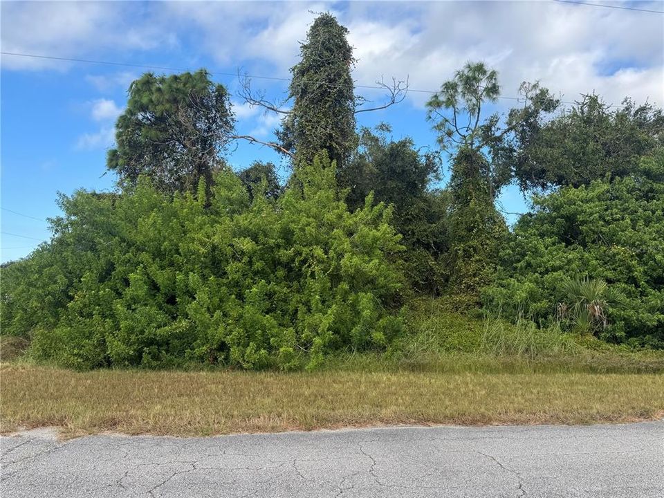 For Sale: $17,500 (0.41 acres)