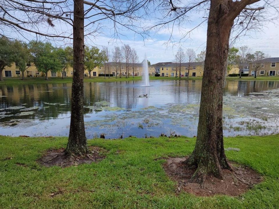 For Rent: $2,350 (3 beds, 2 baths, 1889 Square Feet)