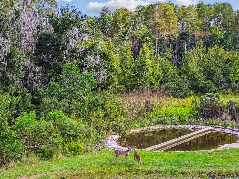 For Sale: $600,000 (6 beds, 4 baths, 3231 Square Feet)