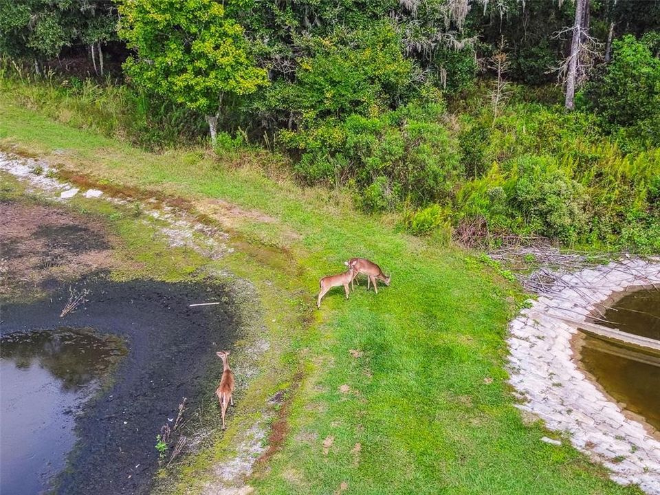 For Sale: $600,000 (6 beds, 4 baths, 3231 Square Feet)