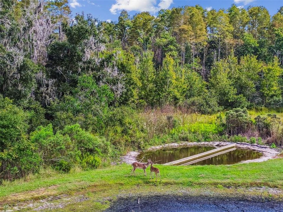 For Sale: $600,000 (6 beds, 4 baths, 3231 Square Feet)