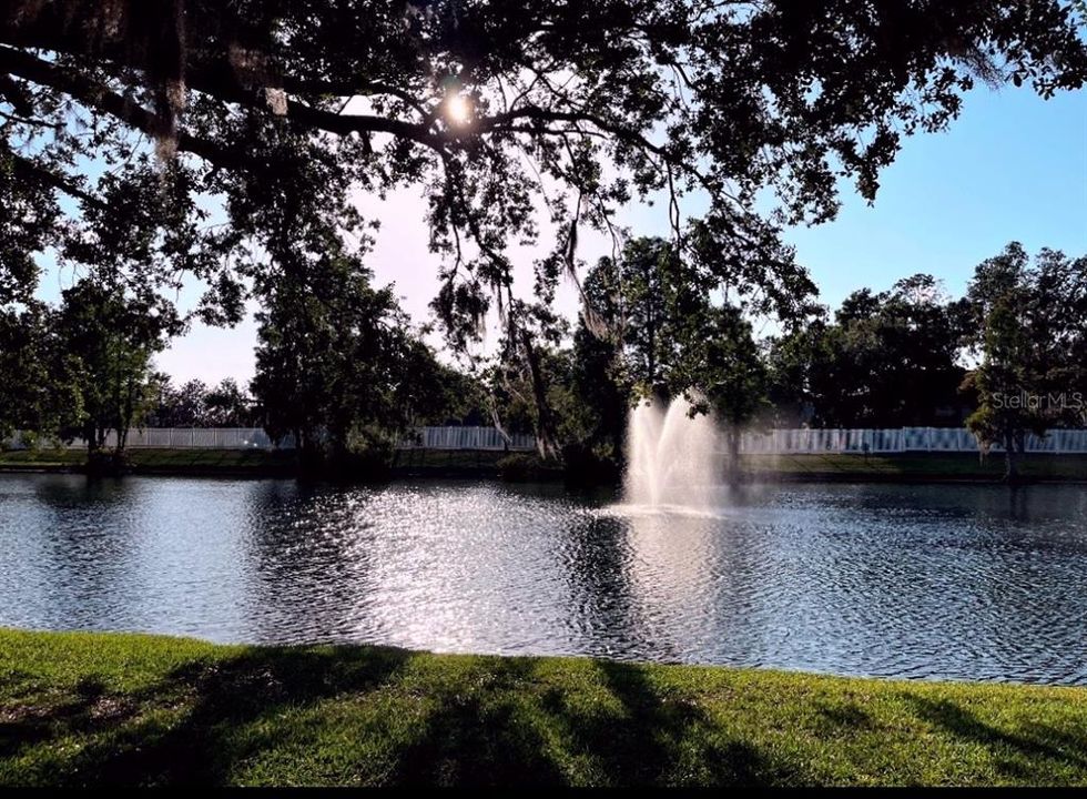 В аренду: $2,600 (3 спален, 2 ванн, 1534 Квадратных фут)