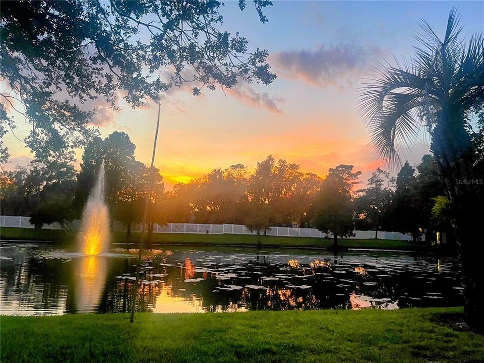 В аренду: $2,600 (3 спален, 2 ванн, 1534 Квадратных фут)