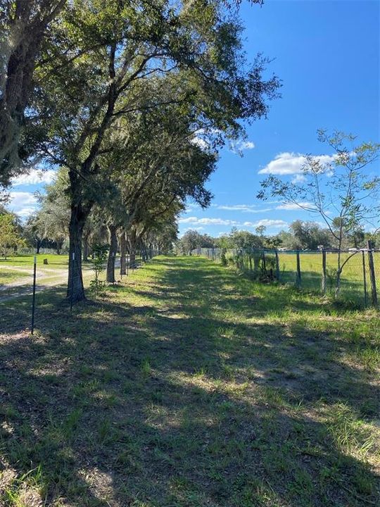 For Sale: $285,000 (5.00 acres)