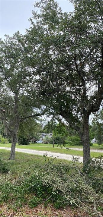 For Sale: $285,000 (5.00 acres)