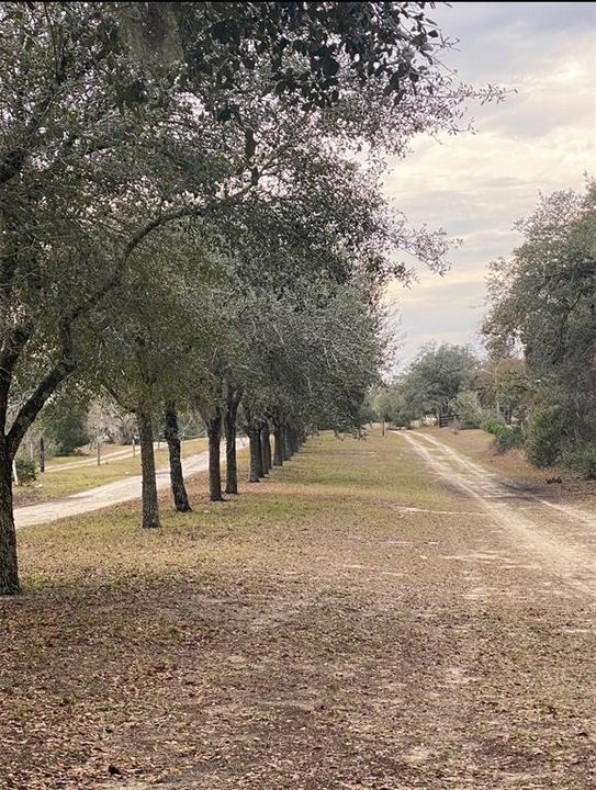 For Sale: $285,000 (5.00 acres)