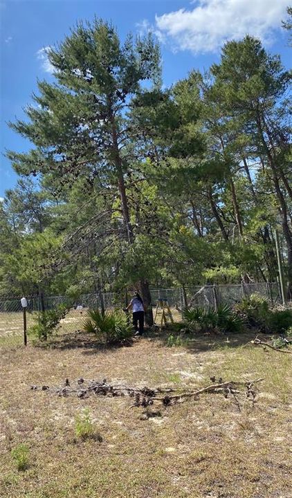 For Sale: $285,000 (5.00 acres)