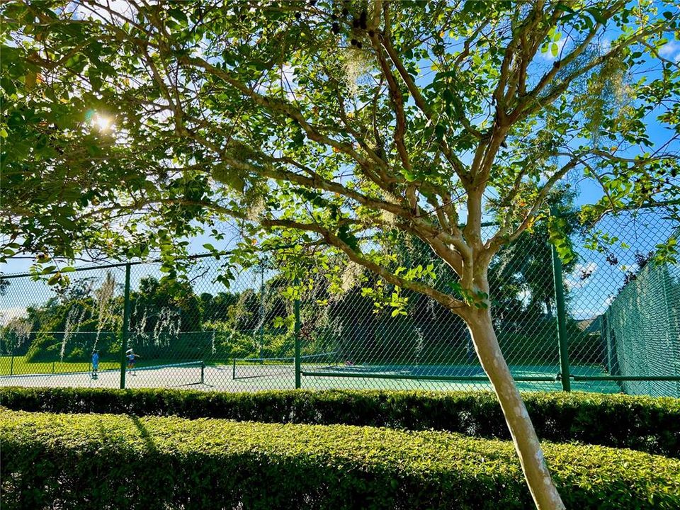 For Rent: $2,400 (4 beds, 3 baths, 2023 Square Feet)