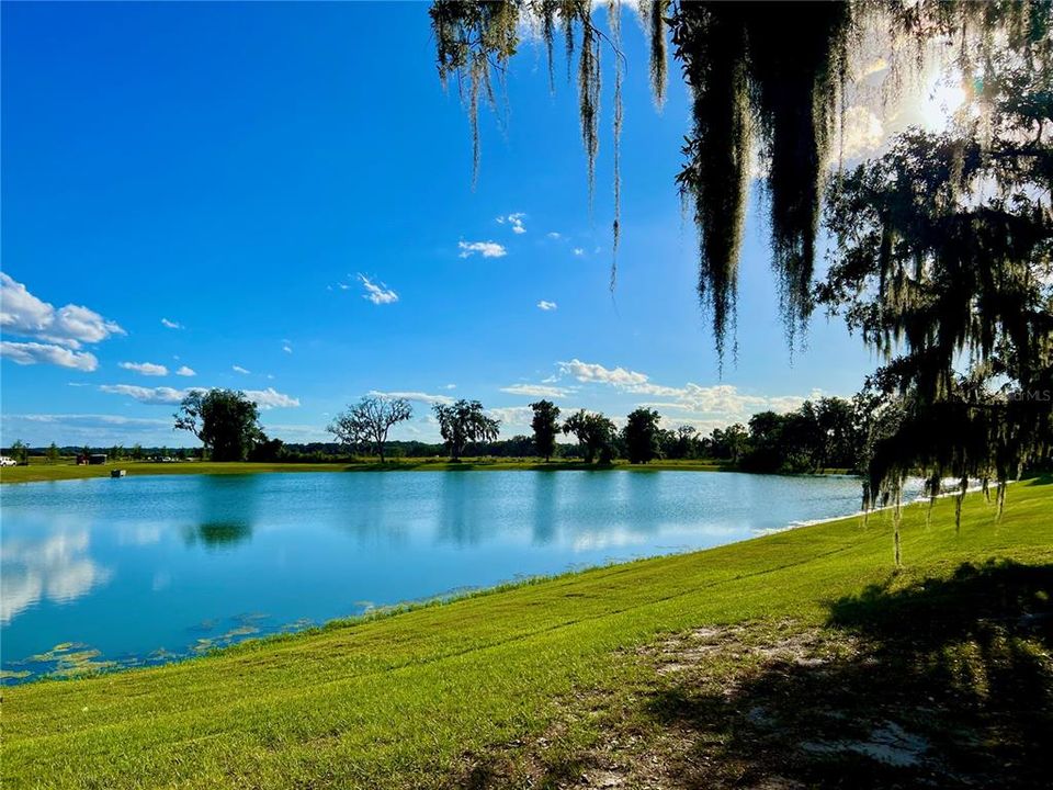 For Rent: $2,400 (4 beds, 3 baths, 2023 Square Feet)