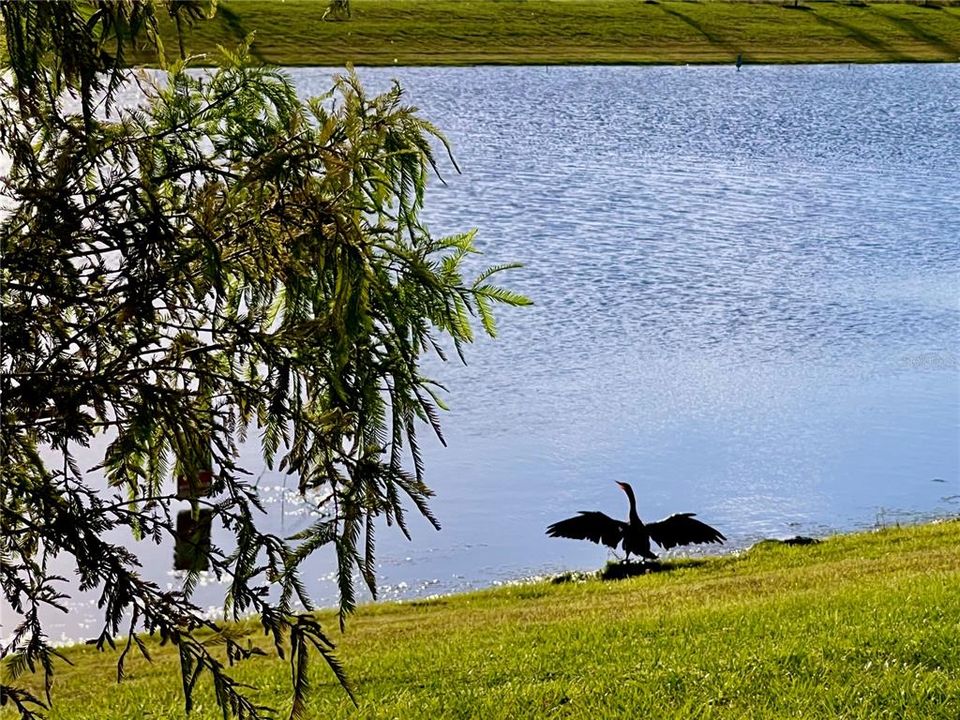 For Rent: $2,400 (4 beds, 3 baths, 2023 Square Feet)