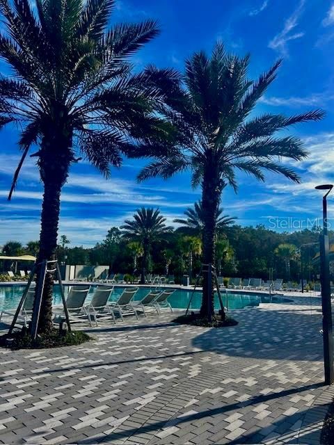 For Rent: $2,750 (3 beds, 2 baths, 1772 Square Feet)