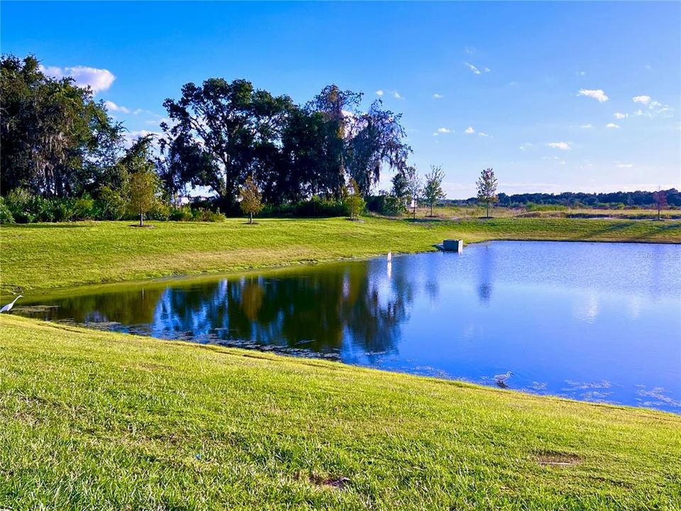 For Rent: $2,400 (4 beds, 3 baths, 2023 Square Feet)