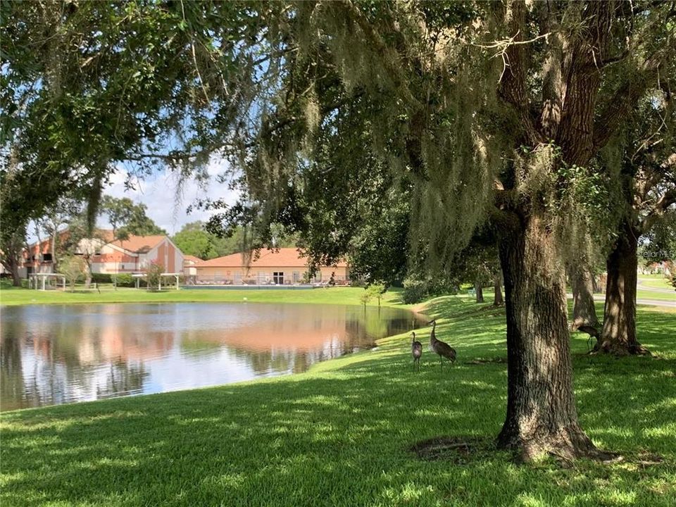 Под контрактом: $188,500 (2 спален, 2 ванн, 1336 Квадратных фут)