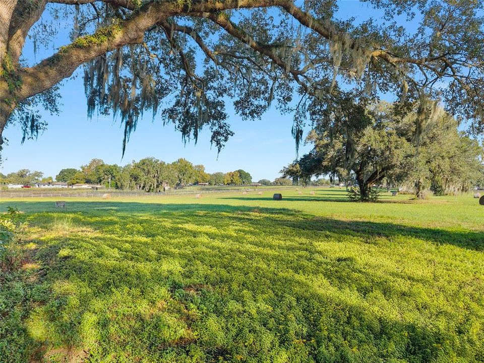 合同活跃: $450,000 (11.88 acres)