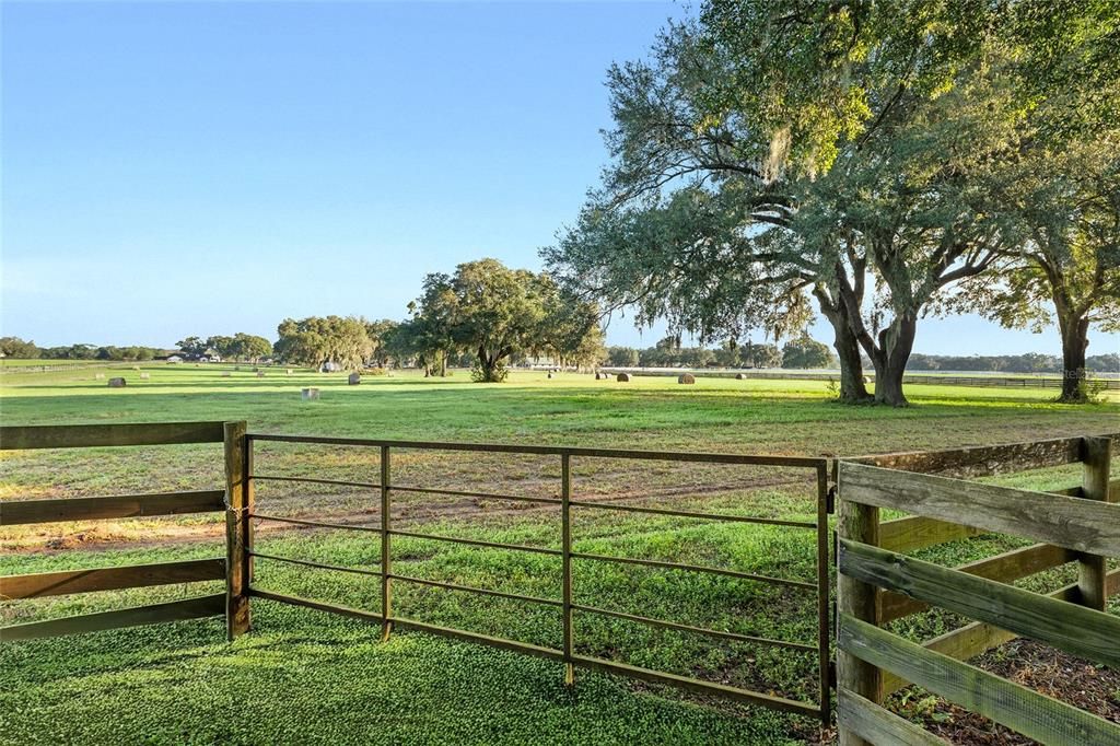 合同活跃: $450,000 (11.88 acres)