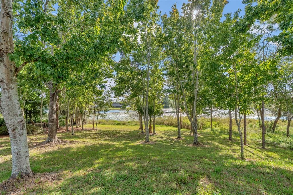 На продажу: $447,000 (3 спален, 2 ванн, 2030 Квадратных фут)