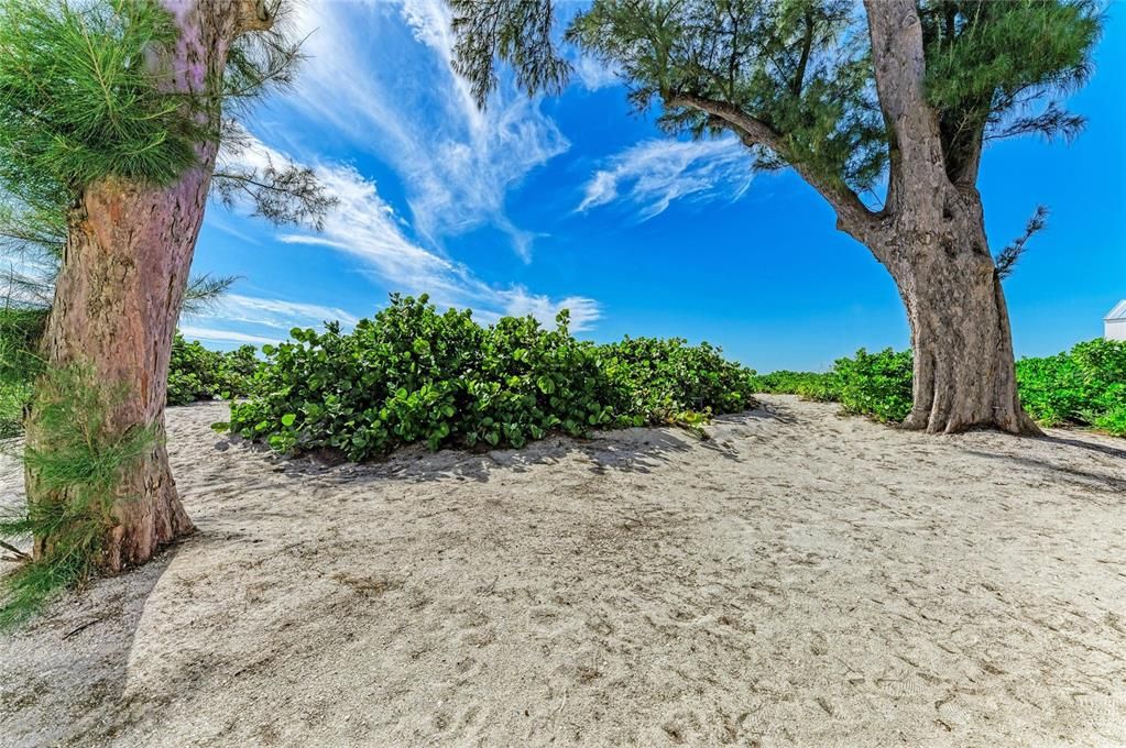 For Sale: $700,000 (2 beds, 2 baths, 810 Square Feet)