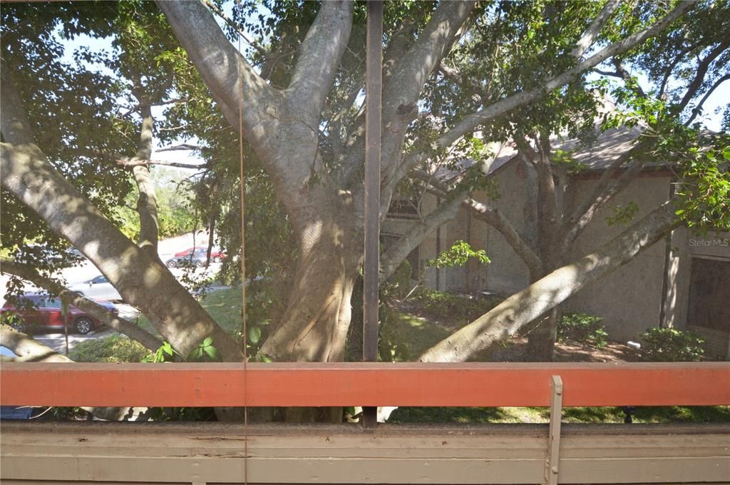 出租: $1,850 (2 贝兹, 2 浴室, 1028 平方英尺)