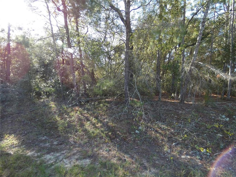 For Sale: $24,000 (0.23 acres)